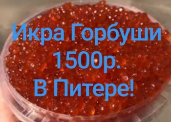 Икра Горбуши 2019г. Малосольная Камчатка 1500р.