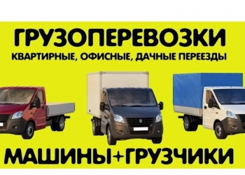 Грузоперевозки