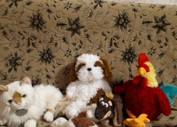 Отдам бесплатно