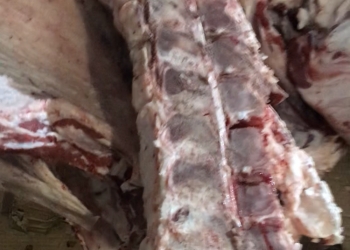 Мясо Black Angus