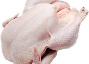 Мясо индейки домашнее