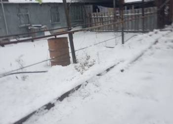 Продам дом на берегу р. Иртыш 86 м2