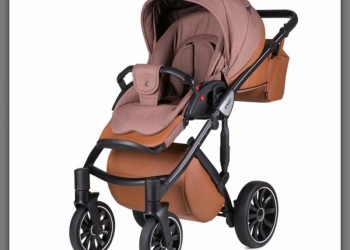 Детская коляска Anex Sport Discovery 2 в 1