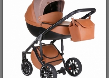 Детская коляска Anex Sport Discovery 2 в 1