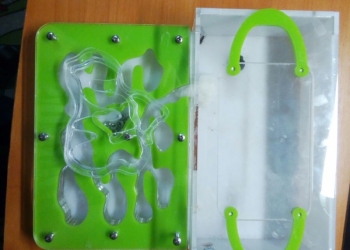 Муравьиная ферма с маткой