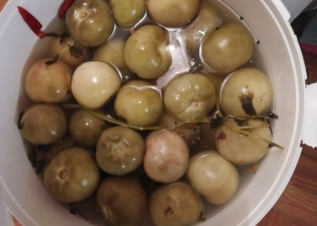Соления