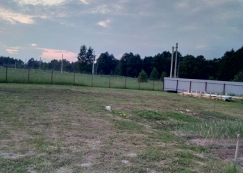 приму бой кирпича или бе она