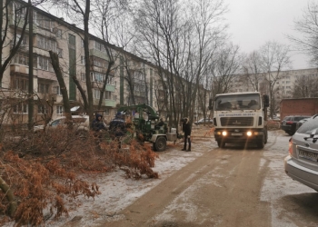 спил и кронирование деревьев