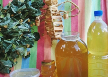 МЁД Башкирский Липовый