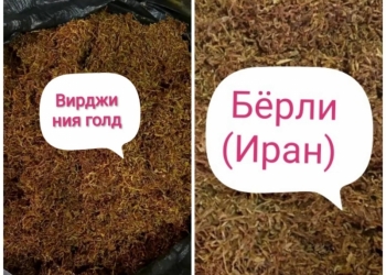 Семена табака. Качество + 100. Консультации для начинающих.