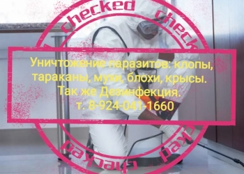 Уничтожение клопов, тараканов и грызунов