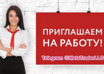 Руководитель или менеджер по продажам в веб-студии