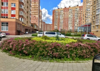 1-к квартира, 24 м2, 1/15 эт.