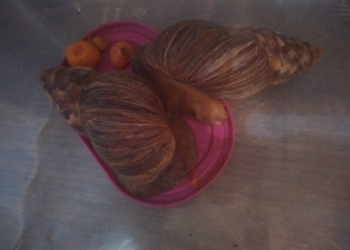 Если вы возьмёте с кантейнером .стоит контейнер 150