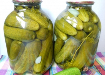 Огурцы консервированные