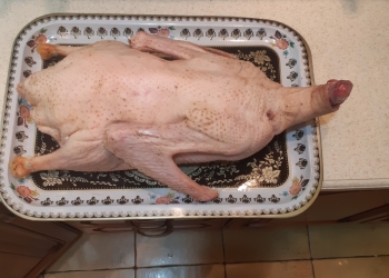 Тушка гуся , Индюшки к новогоднему столу