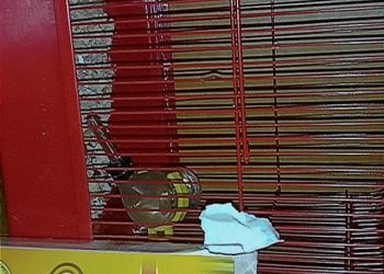 Продам хомяка с клеткой,едой и колесом.