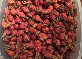 Продам сухой шиповник