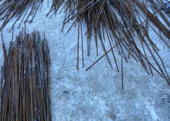 арматура 10, 12