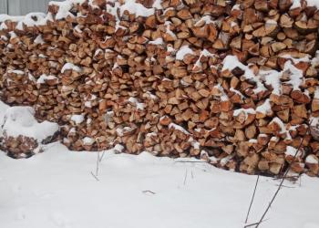 Дрова колотые береза