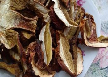 Сушеные белые грибы