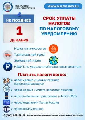 Оплачивайте налоги не выходя из дома