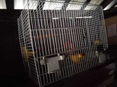 Клетка для птиц