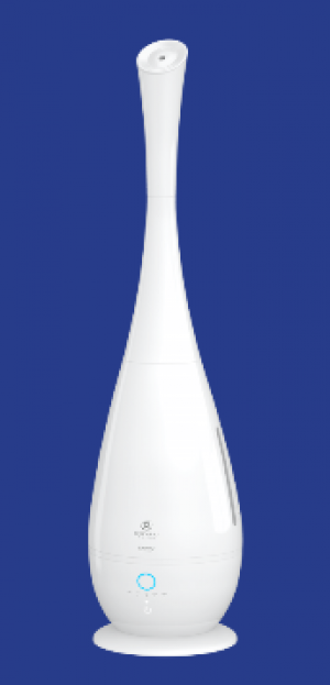   LAURO