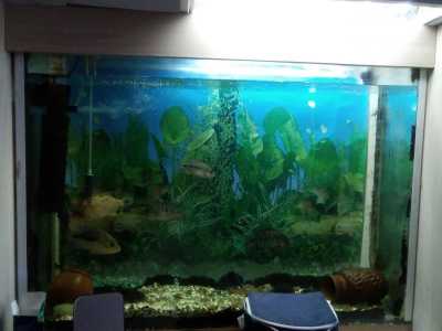 Аквариум