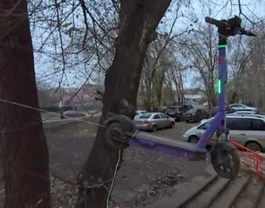 Кормушка для птичек