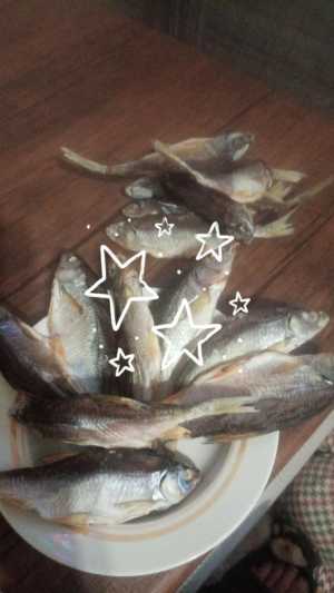 Сущоная рыба.