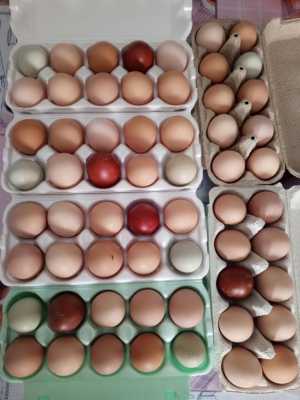 Яйцо куриное .