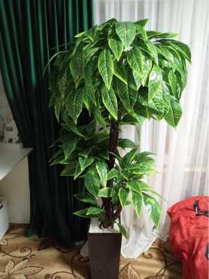 Дерево искусственное на натуральном стволе