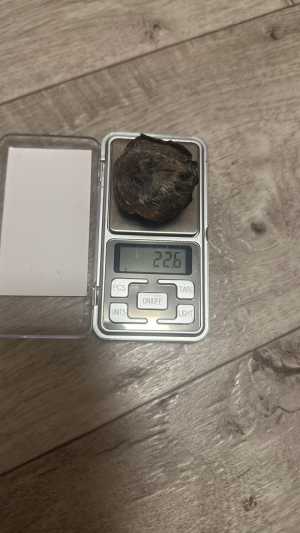 Мускус кабарги