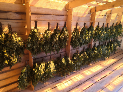 Березовые веники