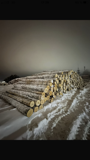 Береза Фанкряж