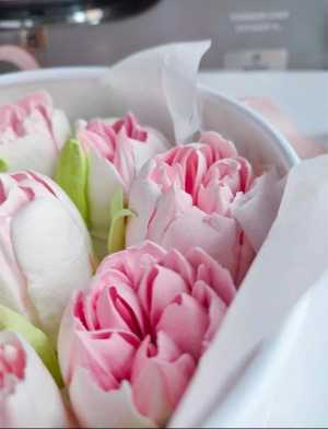 ����� �������� ������ ������