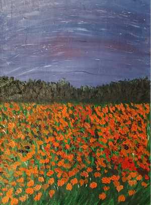 Звездное небо