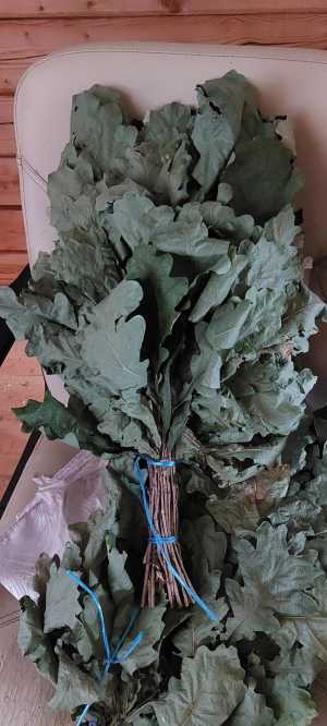 Дубовые веники