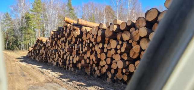 Продам круглый лес; хвоя, липа, ольха