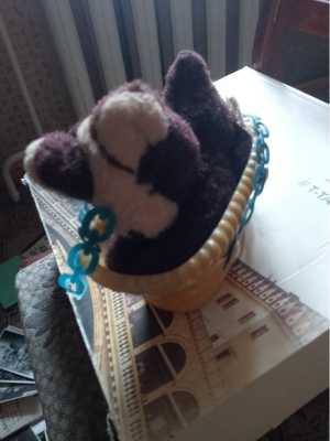 Котёнок СССР