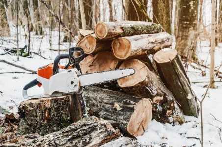 Спил деревьев