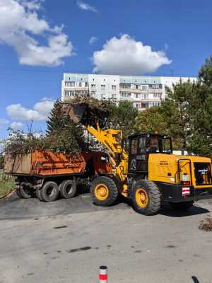 ������/������ ������������ ���������� 2,5 ����