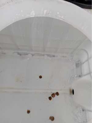 �������� �/� ������ �� ������������� ��������