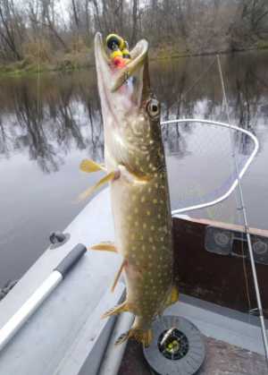 ������� ��� ����� �������