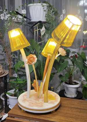 ���������� ����������