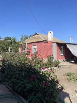 ������������