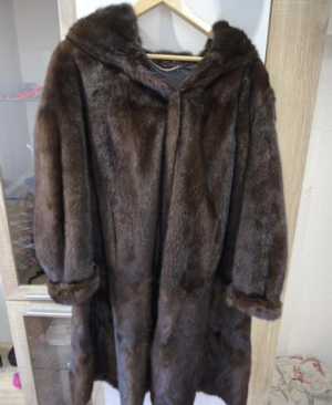 ���� ����������� �����