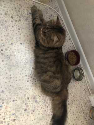 ��������� ��� ��� �����.