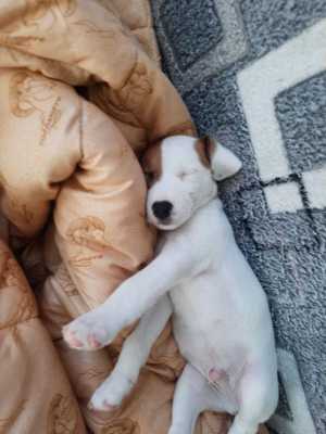 ���� �������� � ������� ����� ������� � �����������